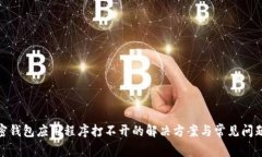 lv加密钱包应用程序打不开的解决方案与常见问题